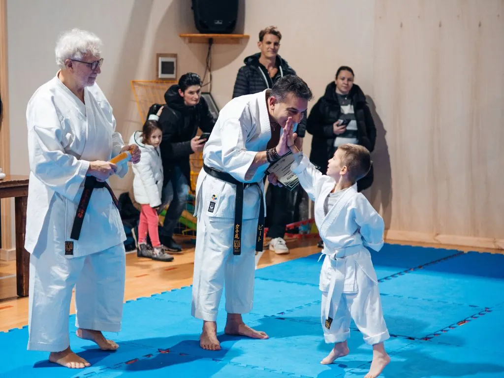 Karate livelli
