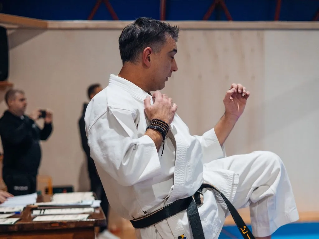 Maestro Karate